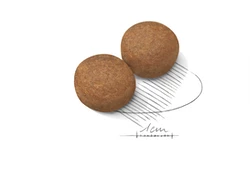 ROYAL CANIN Maxi Adulto 15kg 4 ROYAL CANIN Maxi Adulto 15kg - immagine 2