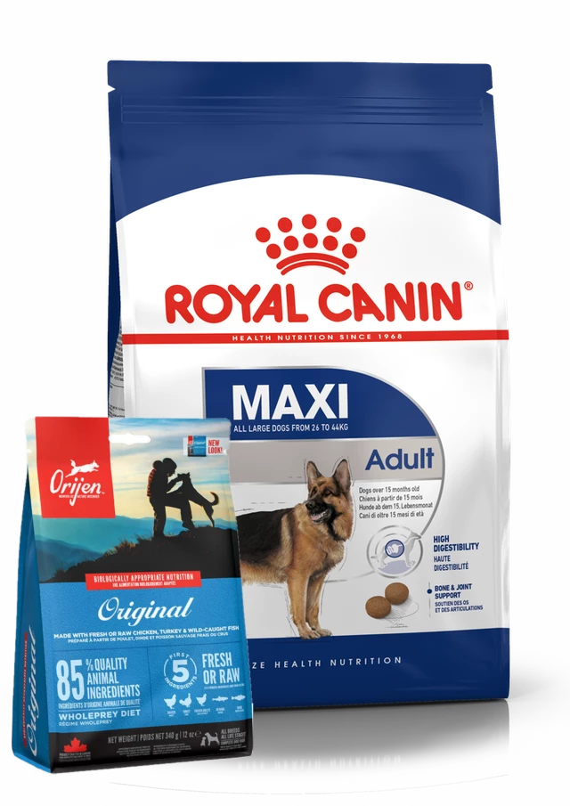 ROYAL CANIN Maxi Adulto 15kg + ORIJEN Original Dog 340g GRATIS 3 ROYAL CANIN Maxi Adulto 15kg + ORIJEN Original Dog 340g GRATIS
