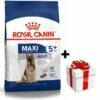 ROYAL CANIN Maxi Adulto 5+ 15kg + Sorpresa Per Il Cane GRATIS 1 ROYAL CANIN Maxi Adulto 5+ 15kg + Sorpresa Per Il Cane GRATIS -BRIT in Italia ita pl ROYAL CANIN Maxi Adulto 5 15kg sorpresa per il cane GRATIS 24133 5