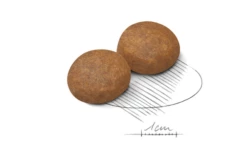 ROYAL CANIN Maxi Adulto 5+ 15kg X2 -BRIT in Italia ita pl ROYAL CANIN Maxi Adulto 5 15kg x2 19889 2