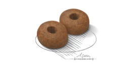 ROYAL CANIN Maxi Ageing 8+ 15kg X2 -BRIT in Italia ita pl ROYAL CANIN Maxi Ageing 8 15kg x2 19917 3