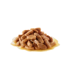 ROYAL CANIN Maxi Puppy 10x140g -BRIT in Italia ita pl ROYAL CANIN Maxi Puppy 10x140g 8849 3