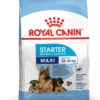 ROYAL CANIN Maxi Starter Mother & Baby Dog 15kg -BRIT in Italia ita pl ROYAL CANIN Maxi Starter Mother Baby Dog 15kg 8565 1
