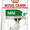 ROYAL CANIN Mini Adult 8+ 2 Kg -BRIT in Italia ita pl ROYAL CANIN Mini Adult 8 2 kg 8930 8