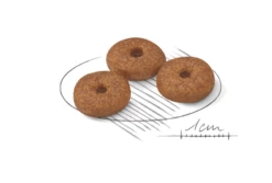 ROYAL CANIN Mini Ageing 12+ 1,5kg -BRIT in Italia ita pl ROYAL CANIN Mini Ageing 12 1 5kg 15192 2