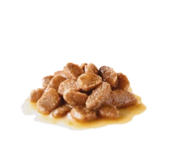 ROYAL CANIN Mini Ageing 12+ 12x85g 8 ROYAL CANIN Mini Ageing 12+ 12x85g -BRIT in Italia ita pl ROYAL CANIN Mini Ageing 12 12x85g 8845 3