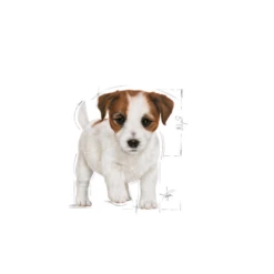 ROYAL CANIN Mini Puppy 12x85g -BRIT in Italia ita pl ROYAL CANIN Mini Puppy 12x85g 8843 3