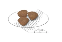 ROYAL CANIN Mini Puppy 2kg -BRIT in Italia ita pl ROYAL CANIN Mini Puppy 2kg 15268 3