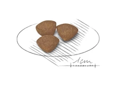 ROYAL CANIN Mini Puppy 4kg 4 ROYAL CANIN Mini Puppy 4kg - immagine 2