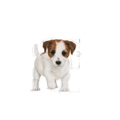 ROYAL CANIN Mini Puppy 8kg -BRIT in Italia ita pl ROYAL CANIN Mini Puppy 8kg 15252 3