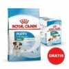 ROYAL CANIN Mini Puppy 8kg + Cibo Umido GRATIS 2 ROYAL CANIN Mini Puppy 8kg + Cibo Umido GRATIS -BRIT in Italia ita pl ROYAL CANIN Mini Puppy 8kg cibo umido GRATIS 24241 4