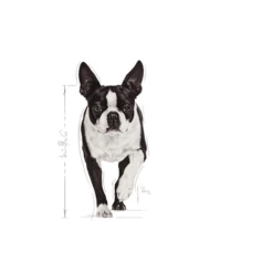 ROYAL CANIN Mini Relax Care 8kg -BRIT in Italia ita pl ROYAL CANIN Mini Relax Care 8kg 9102 3