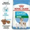 ROYAL CANIN Mini Starter Mother & Babydog 8 Kg Crocchette Per Cagne E Cuccioli In Gravidanza E In Allattamento Da 4 A 8 Settimane Di Età, Di Piccola Taglia -BRIT in Italia ita pl ROYAL CANIN Mini Starter Mother Babydog 8 kg crocchette per cagne e cuccioli in gravidanza e in allattamento da 4 a 8 settimane di eta di piccola taglia 20538 1