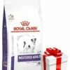 ROYAL CANIN Neutered Adult Small Dog 3,5kg+Sorpresa Per Il Tuo Cane -BRIT in Italia ita pl ROYAL CANIN Neutered Adult Small Dog 3 5kg Sorpresa per il tuo cane 19779 5