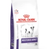 ROYAL CANIN Neutered Adult Small Dog 8kg 2 ROYAL CANIN Neutered Adult Small Dog 8kg -BRIT in Italia ita pl ROYAL CANIN Neutered Adult Small Dog 8kg 8408 1