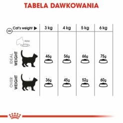 ROYAL CANIN Oral Care 8kg + Sorpresa Per Il Gatto GRATIS -BRIT in Italia ita pl ROYAL CANIN Oral Care 8kg sorpresa per il gatto GRATIS 24124 5