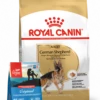 ROYAL CANIN Pastore Tedesco Adulto 11kg + ORIJEN Original Dog 340g GRATIS -BRIT in Italia ita pl ROYAL CANIN Pastore Tedesco Adulto 11kg ORIJEN Original Dog 340g GRATIS 24852 2