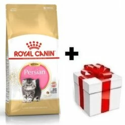 ROYAL CANIN Persian Kitten 10kg + Sorpresa Per Il Gatto GRATIS