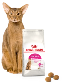 ROYAL CANIN Proteina Exigent 2kg -BRIT in Italia ita pl ROYAL CANIN Proteina Exigent 2kg 15092 5