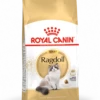 ROYAL CANIN Ragdoll Adulto 10kg 1 ROYAL CANIN Ragdoll Adulto 10kg -BRIT in Italia ita pl ROYAL CANIN Ragdoll Adulto 10kg 16016 1 1