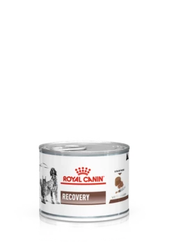 ROYAL CANIN Recovery 195g X6 9 ROYAL CANIN Recovery 195g X6 -BRIT in Italia ita pl ROYAL CANIN Recovery 195g 8463 1 1