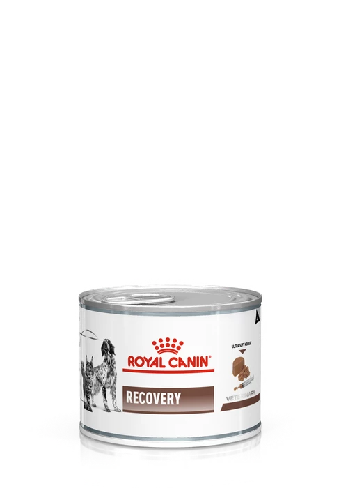 ROYAL CANIN Recovery 195g X6 3 ROYAL CANIN Recovery 195g X6