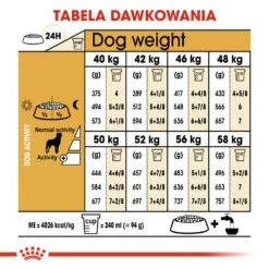 ROYAL CANIN Rottweiler Adulto 12kg + Sorpresa Per Il Cane GRATIS -BRIT in Italia ita pl ROYAL CANIN Rottweiler Adulto 12kg sorpresa per il cane GRATIS 24118 5