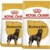 ROYAL CANIN Rottweiler Adulto 12kg X2 1 ROYAL CANIN Rottweiler Adulto 12kg X2 -BRIT in Italia ita pl ROYAL CANIN Rottweiler Adulto 12kg x2 19940 4