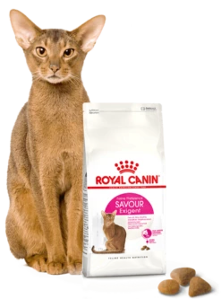 ROYAL CANIN Savour Exigent 4kg 11 ROYAL CANIN Savour Exigent 4kg -BRIT in Italia ita pl ROYAL CANIN Savour Exigent 4kg 15096 4