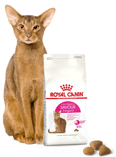 ROYAL CANIN Savour Exigent 4kg 6 ROYAL CANIN Savour Exigent 4kg - immagine 4