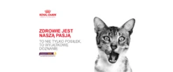 ROYAL CANIN Sensory Taste Cibo Umido, Pezzi In Salsa 12x85g 16 ROYAL CANIN Sensory Taste Cibo Umido, Pezzi In Salsa 12x85g -BRIT in Italia ita pl ROYAL CANIN Sensory Taste cibo umido pezzi in salsa 12x85g 18969 5
