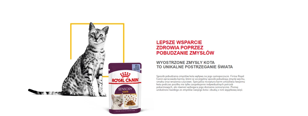 ROYAL CANIN Sensory Taste Cibo Umido, Pezzi In Salsa 12x85g 8 ROYAL CANIN Sensory Taste Cibo Umido, Pezzi In Salsa 12x85g - immagine 6