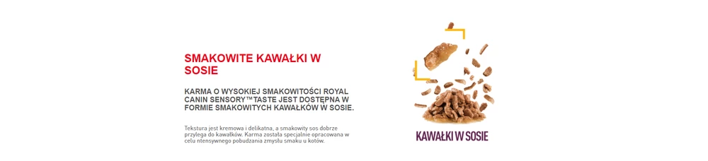 ROYAL CANIN Sensory Taste Cibo Umido, Pezzi In Salsa 12x85g 11 ROYAL CANIN Sensory Taste Cibo Umido, Pezzi In Salsa 12x85g - immagine 9