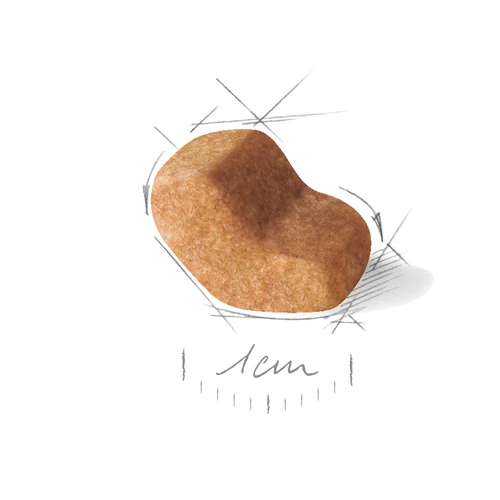 ROYAL CANIN Shih Tzu Adulto 1,5kg 4 ROYAL CANIN Shih Tzu Adulto 1,5kg - immagine 2