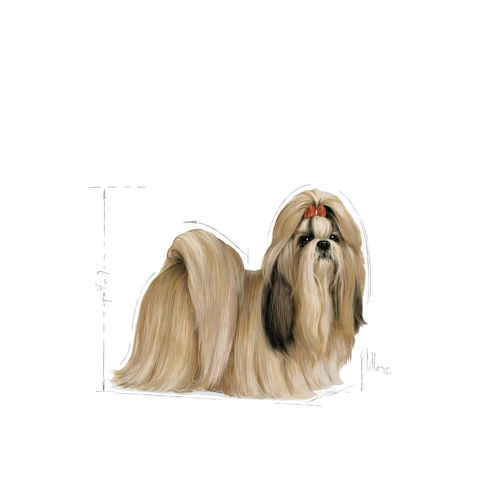 ROYAL CANIN Shih Tzu Adulto 1,5kg 5 ROYAL CANIN Shih Tzu Adulto 1,5kg - immagine 3