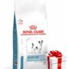 ROYAL CANIN Skin Care Small Dog 4kg+Sorpresa Per Il Tuo Cane -BRIT in Italia ita pl ROYAL CANIN Skin Care Small Dog 4kg Sorpresa per il tuo cane 19773 5