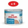 ROYAL CANIN Starter Mousse Mother & Babydog 6x195g -BRIT in Italia ita pl ROYAL CANIN Starter Mousse Mother Babydog 6x195g 23708 1
