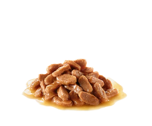 ROYAL CANIN Sterilised In Salsa 24x85g 6 ROYAL CANIN Sterilised In Salsa 24x85g - immagine 4