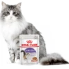 ROYAL CANIN Sterilised In Salsa 24x85g -BRIT in Italia ita pl ROYAL CANIN Sterilised In salsa 24x85g 23205 5