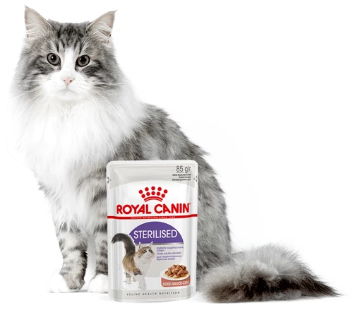 ROYAL CANIN Sterilised In Salsa 24x85g 3 ROYAL CANIN Sterilised In Salsa 24x85g