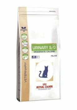 ROYAL CANIN Urinary S/O Moderate Calorie 9kg + Sorpresa Per Il Gatto GRATIS 9 ROYAL CANIN Urinary S/O Moderate Calorie 9kg + Sorpresa Per Il Gatto GRATIS -BRIT in Italia ita pl ROYAL CANIN Urinary S O Moderate Calorie 9kg sorpresa per il gatto GRATIS 24689 3