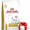ROYAL CANIN Urinary S/O Small Dog 4kg+Sorpresa Per Il Tuo Cane -BRIT in Italia ita pl ROYAL CANIN Urinary S O Small Dog 4kg Sorpresa per il tuo cane 19771 4