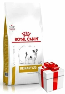 ROYAL CANIN Urinary S/O Small Dog 4kg+Sorpresa Per Il Tuo Cane