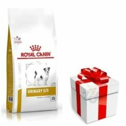 ROYAL CANIN Urinary S/O Small Dog 8kg+Sorpresa Per Il Tuo Cane