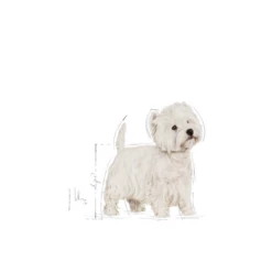 ROYAL CANIN West Highland White Terrier Adulto 3kg -BRIT in Italia ita pl ROYAL CANIN West Highland White Terrier Adulto 3kg 15946 3