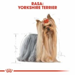 ROYAL CANIN Yorkshire Terrier Adult 12x85g -BRIT in Italia ita pl ROYAL CANIN Yorkshire Terrier Adult 12x85g 8138 4