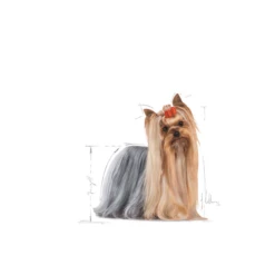 ROYAL CANIN Yorkshire Terrier Adulto 1,5kg -BRIT in Italia ita pl ROYAL CANIN Yorkshire Terrier Adulto 1 5kg 15266 2
