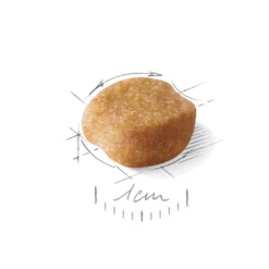 ROYAL CANIN Yorkshire Terrier Adulto 1,5kg -BRIT in Italia ita pl ROYAL CANIN Yorkshire Terrier Adulto 1 5kg 15266 3