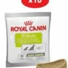 ROYAL CANIN Integratore Alimentare Educ 10x50g 2 ROYAL CANIN Integratore Alimentare Educ 10x50g -BRIT in Italia ita pl ROYAL CANIN integratore alimentare Educ 10x50g 24255 3