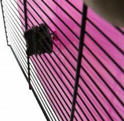 Trixie Reel 20cm -BRIT in Italia ita pl Trixie Reel 20cm 11049 5